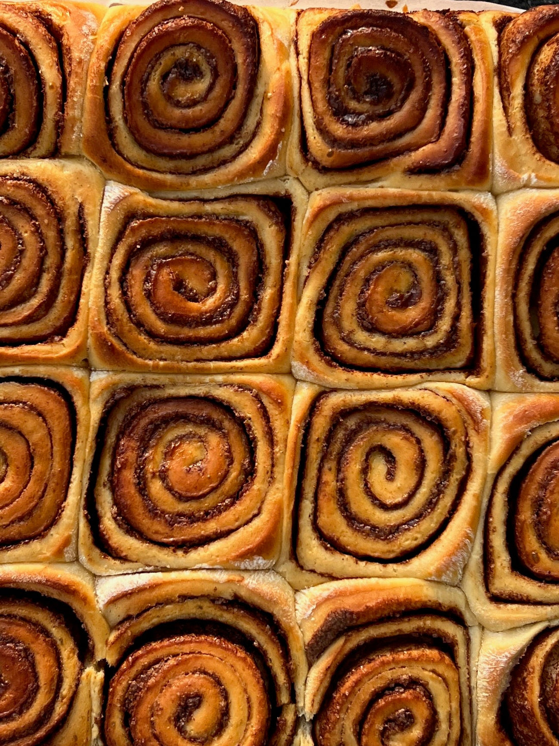 Frisch gebackene Zimtschnecken aus dem Beanlab-Ofen