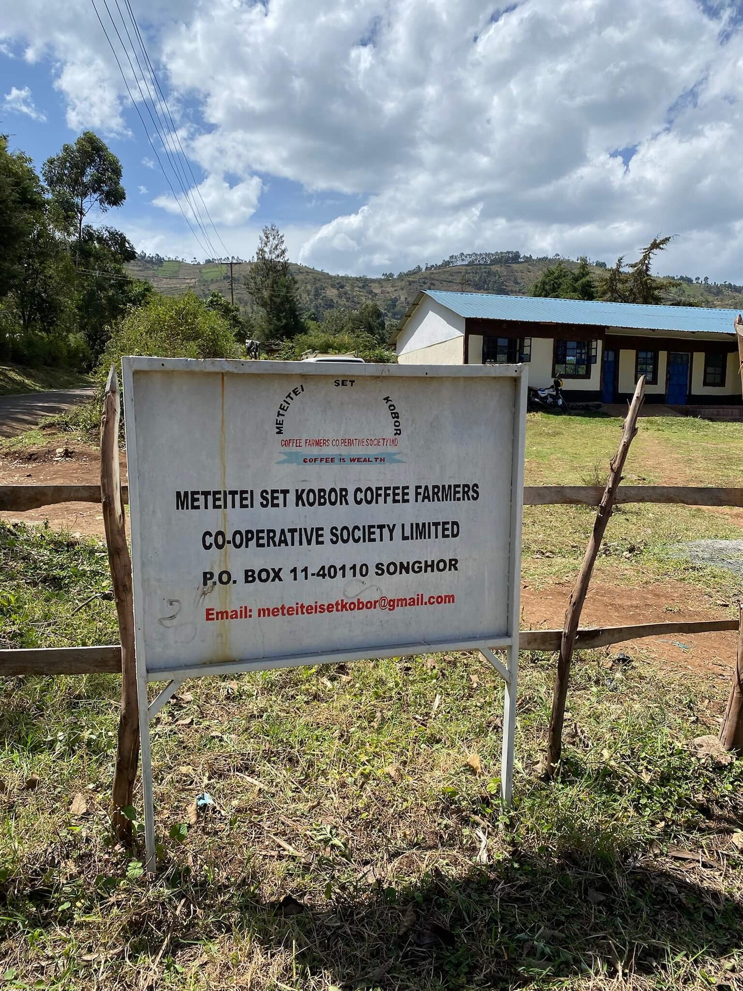 KENIA - WOMEN IN COFFEE - METEITEI AA